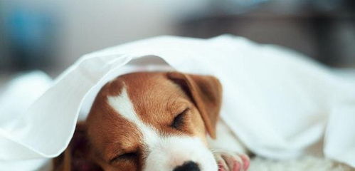 網(wǎng)購要知道避雷, 5類 商品去實體店買更好,不要貪便宜而吃虧